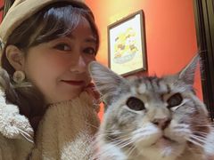 -猫色咖啡·猫咖