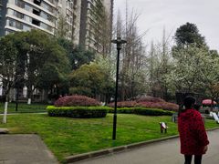 -温江公园