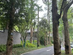 -东明山森林公园