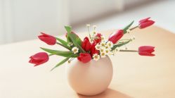 -Oasis Beauty水磨坊科技美肤中心