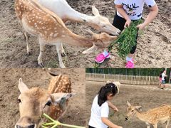 -北京麋鹿生态实验中心