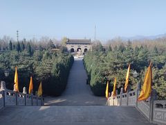 -大槐树寻根祭祖园