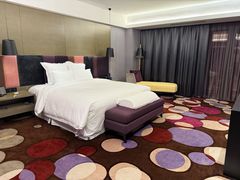 -南京禄口机场雅高铂尔曼大酒店