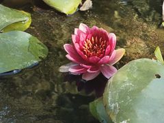 -北京石刻艺术博物馆(五塔寺)