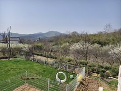 -石塘人家