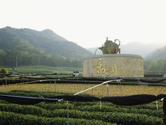 -龙坞茶村