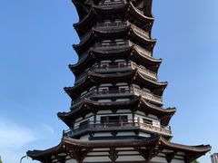 -洋湖国家湿地公园