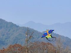 -青城山