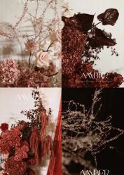 -琥珀婚礼策划AMBER WEDDING