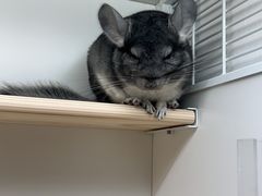 -龙猫仔乐园(惠福东路店)