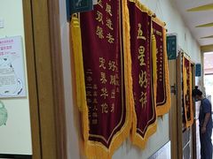 -千城康桥宠物医院·猫科·骨科·心脏
