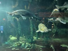 -华夏文旅海洋公园