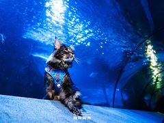 -太平洋海底世界