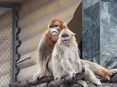 -西安秦岭野生动物园