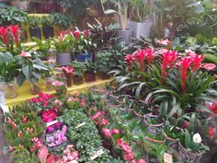 -秦美花卉(天朗·莱茵小城2期店)