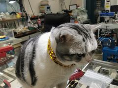 -百金通黄金回收首饰定制维修(珠江路总部)