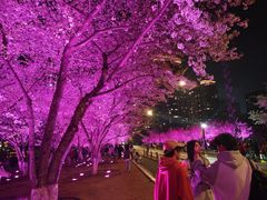 -西北湖绿化广场