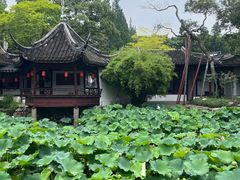 -上海醉白池公园
