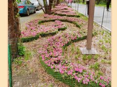 -北海公园-停车场