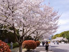 -江南大学(蠡湖校区)