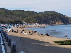 -棒棰岛宾馆景区