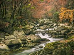 -光雾山旅游景区