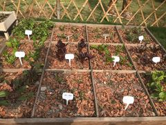 -上海植物园·停车场