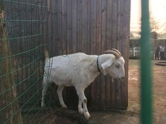 -武汉紫薇都市田园