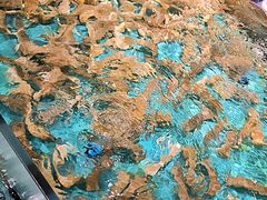 -拉完海鲜大排档(温岭店)