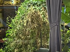 -晋江荣誉国际酒店·港誉茶餐厅