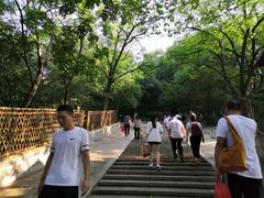 -天虹购物中心(石路店)