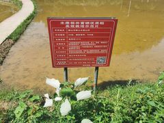 -韶山毛泽东同志故居