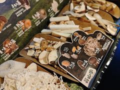 -芸山季·云南山珍菌火锅(人民广场来福士店)