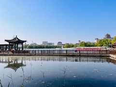 -莲花池公园