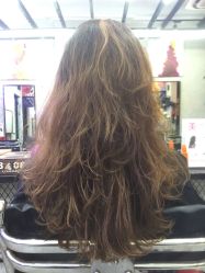 -SALON V