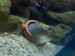 -蓬莱欧乐堡海洋极地世界