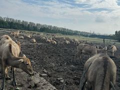 -溱湖国家湿地公园