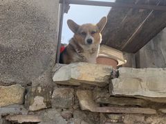 -双龙峡