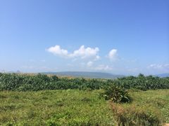 iphone_upload_pic-鹅銮鼻灯塔