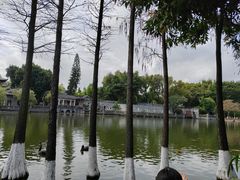 -东莞市可园博物馆