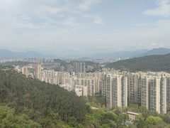 -福道