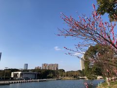 -院士公园