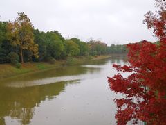 -上海海湾国家森林公园