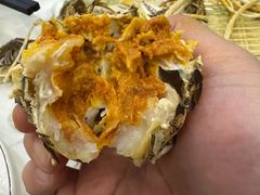 -蟹天蟹地农家菜·阳澄湖大闸蟹(浅水湾店)