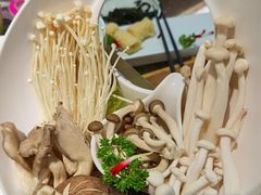 菌类拼盘-洪氏嗨捞·猪肚鸡火锅(阳光天地店)