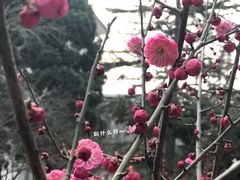-山东师范大学(千佛山校区)