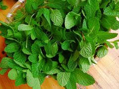 -阿斯牛牛十二餐厅•四季餐厅(民族大道店)