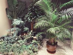 -丽思卡尔顿酒店泳池(金融街店)