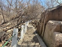 -崂山巨峰游览区