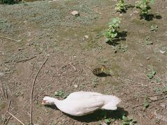 -沈阳鸟岛